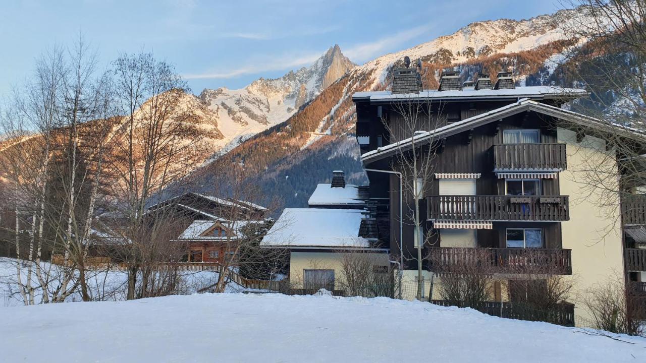 Cosy Studio On The Slopes And Centre Of شامونكس المظهر الخارجي الصورة
